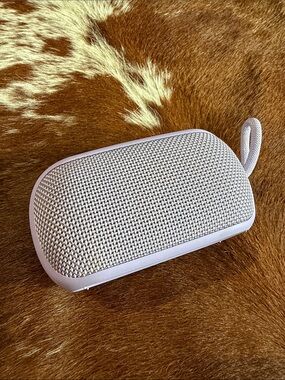 Portable Bluetooth Speaker in Light Gray with Carry Loop